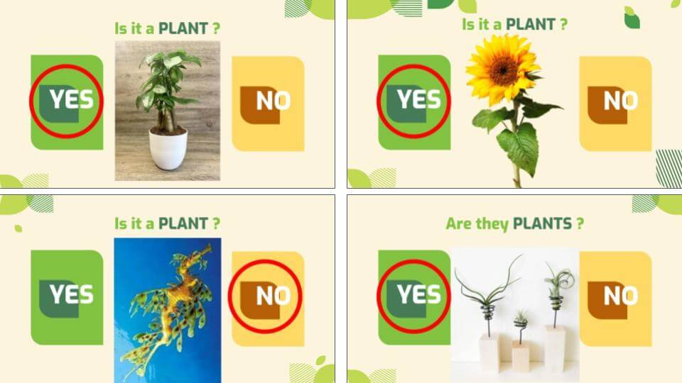 雙語自然課教材, 備課 舉例